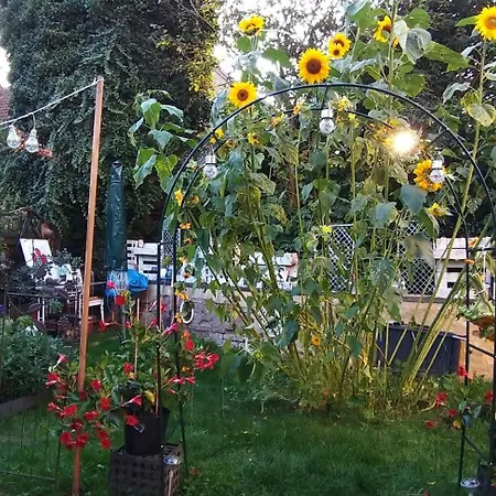 Family-friendly Apartamento *